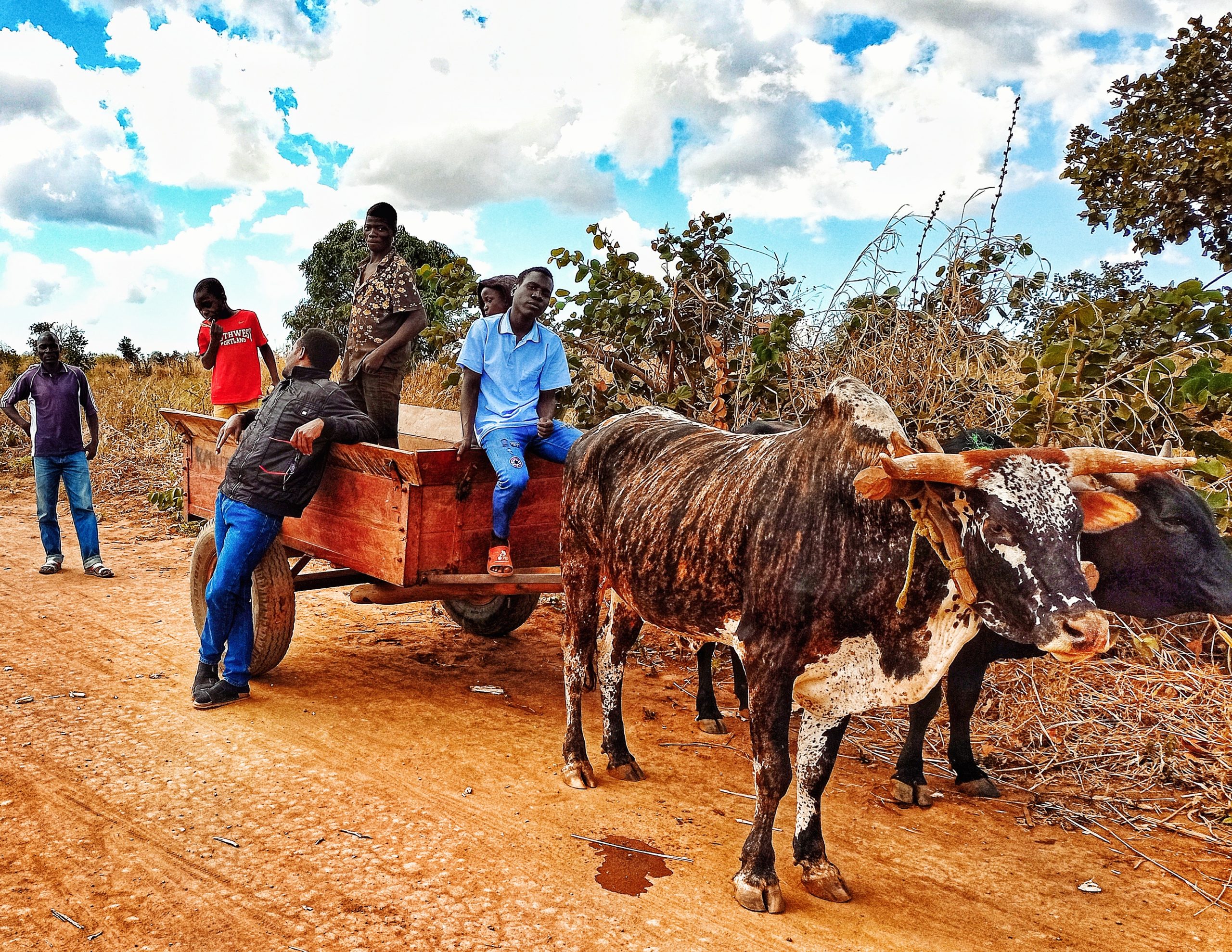 Transport in Chamama, Kasungu District Malawi